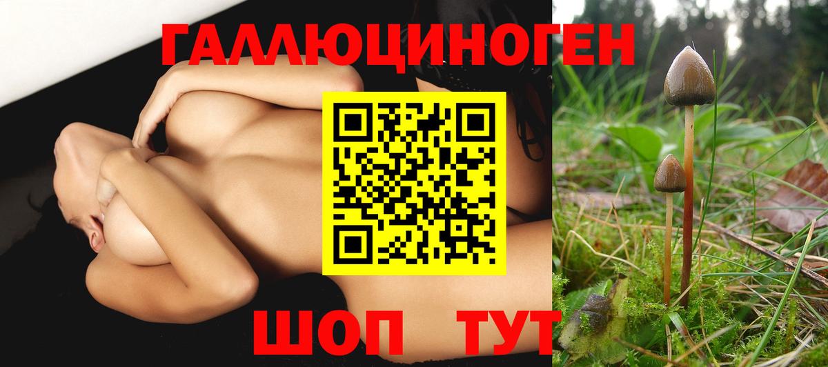 Псилоцибиновые грибы Psilocybine cubensis  Вход с VPN  Махачкала 